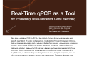 Cover of Real-Time qPCR as a Tool for Evaluating RNAi-Mediated Gene Silencing, Rev A. (cover story)