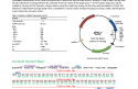 Cover of The pPAL7 Vector Map and Plasmid Sequence Data Sheet, Rev B