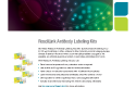 Cover of ReadiLink Antibody Labeling Kits Flier, Rev C