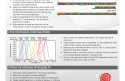 Cover of Tips, Tricks &amp; Best Practices: The Ultimate qPCR Assay Design Guide