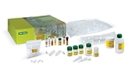 Mammals, Insects, and Fungi DNA Barcoding Kit with Agarose and TAE