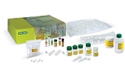 Fish DNA Barcoding Kit with Agarose and TAE 