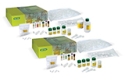 Fish, Mammals, Insects, and Fungi DNA Barcoding Kit with Agarose and TAE