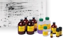 buffers-and-reagents-for-protein-electrophoresis-thumb-protein-electrophoresis-and-blotting.jpg