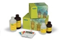 immunodetection-reagents-and-kits-thumb-clarity-western-ecl-substrate-feature.jpg
