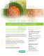 Cover of Herpes Simplex Virus 1/2 Product Sheet