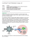 Cover of CytoTrack™ Cell Proliferation Assay Kit Product Insert, Rev B