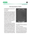 Cover of Electroporation of Yeast Artificial Chromosomes