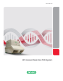 Cover of CFX Connect™ Real-Time PCR Detection System Brochure