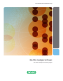 Cover of Bio-Plex Analysis Software Brochure, Rev B
