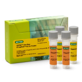 thumbnail image of SKU product 12025531