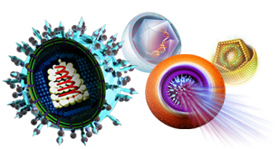 retrovirus, hepatitis viruses and other infectious disease testing