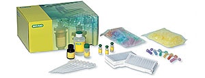 ELISA Immuno Explorer Kit