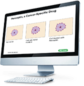 Life Science Catalog Supplementary PowerPoint