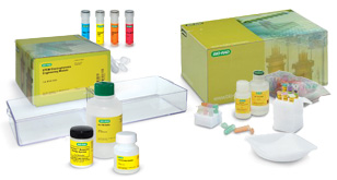 dna science kits and curricula designed