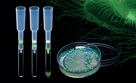 Green Fluorescent Protein Chromatography Kit