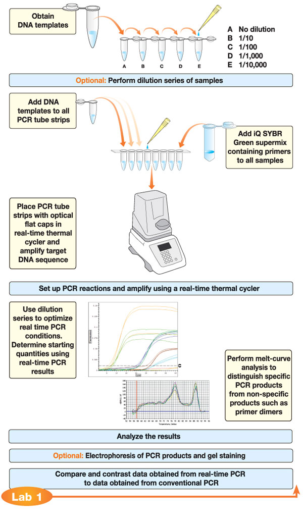 Real-time pcr detection systems for in vitro diagnostics (ivd.