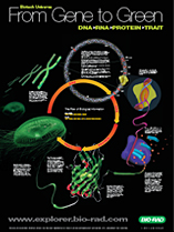 Biotech Universe Poster