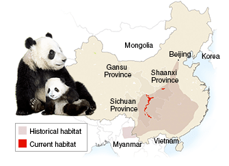 Panda habitat map