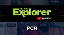 PCR Playlist on YouTube