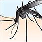 Case Study: A Role for Bacterial Transformation in Controlling Malaria Transmission