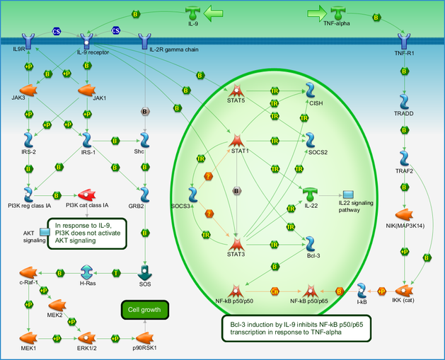 Immune Response Il 9 Signaling Pathway Pathway Map Primepcr