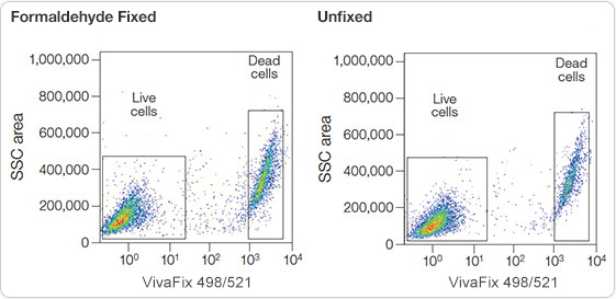 VivaFix allows efficient identification of live and dead cells in fixed and unfixed samples