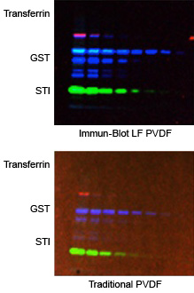 Immun-Blot LF PVDF membranes produce highly quantitative results.