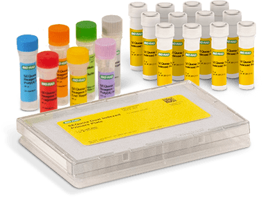 Reliance SARS-CoV-2 Flu A Flu B RT-PCR Assay Kit