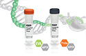 Droplet Digital™ PCR (ddPCR™) Systems, Primers, Assays, and Arrays