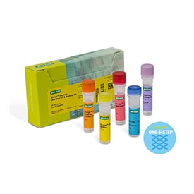 bio rad