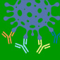 Bio-Plex Pro Human SARS-CoV-2 Serology Assays Quick Guide