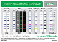 Interactive Selection Guide for Protein Standards