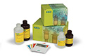 Clarity ECL Substrates for Western Blotting