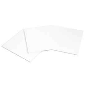 Extra Thick Blot Filter Paper, Precut, 14 x 16 cm #1703968 | Life ...