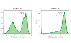 Two flow cytometry graphs with the first graph displaying two peaks and the second graph displaying only a single peak
