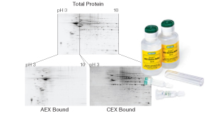 total protein-aex bound-cex bound