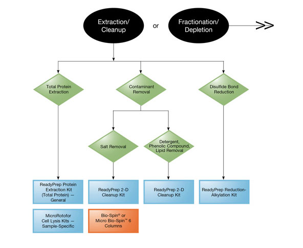 Protein Extraction and Protein Sample Cleanup Flowchart