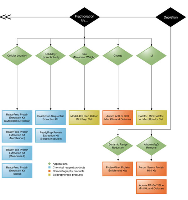 Protein Fractionation and Sample Depleation Flowchart