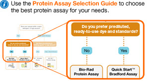 four colorimetric protein assay kits