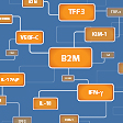 Biomarker Discovery