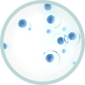Transfection-icons