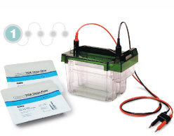 Photo of protein electrophoresis gel box and precast gels-separation transfer and analysis