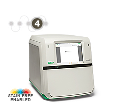 Photo of Bio-Rad ChemiDoc™ MP System (front)-separation transfer and analysis