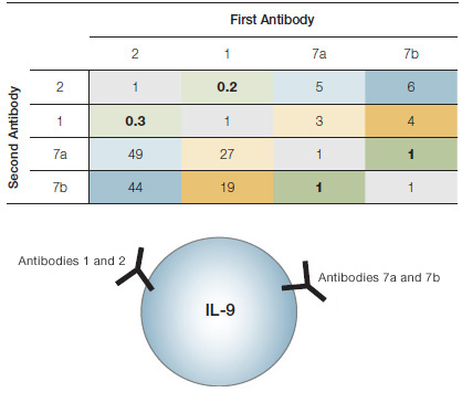 Schematic illustration of antibody binding epitopes and epitope mapping table