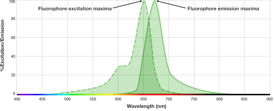 Fluorophore spectra
