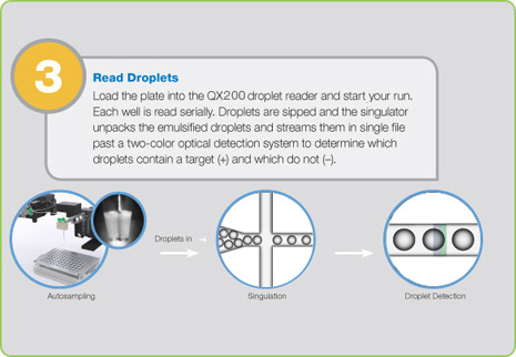 Step 3: Droplet Reading