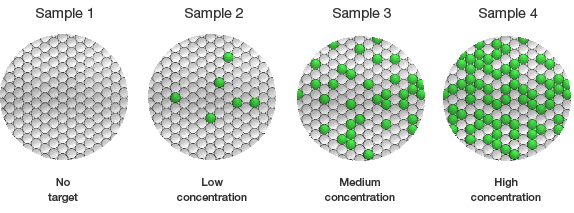 The number of positive droplets corresponds to the concentration of target in the sample
