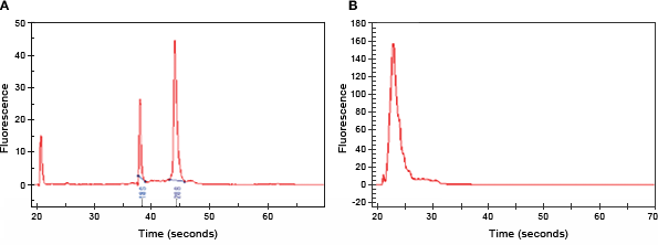 RNA quality assessed by an Experion automated electrophoresis system.