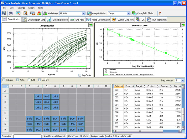 Quantification window in CFX Manager software